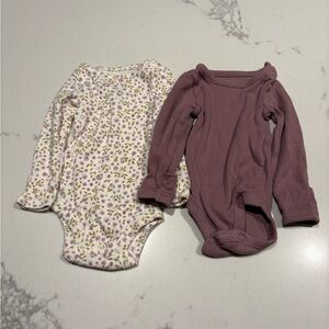 Carter's Floral and Mauve Bodysuit Duo